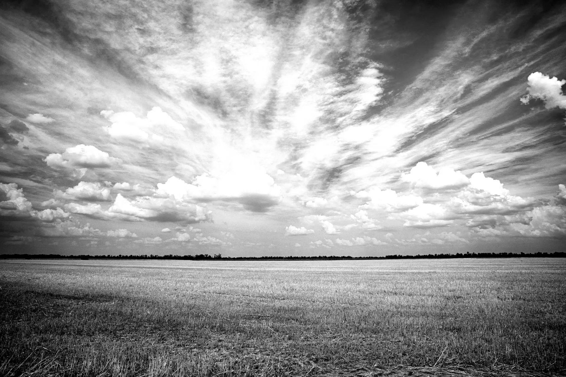 Fuel Your SME’s Success with Expert M&A Advisory Support